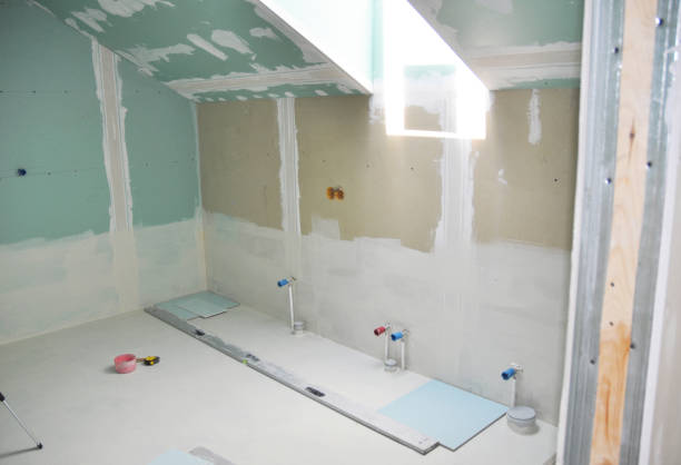 Best Attic Mold Removal  in Hainesvle, IL