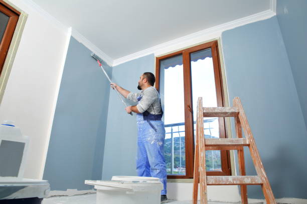 Best Mold Damage Restoration  in Hainesvle, IL