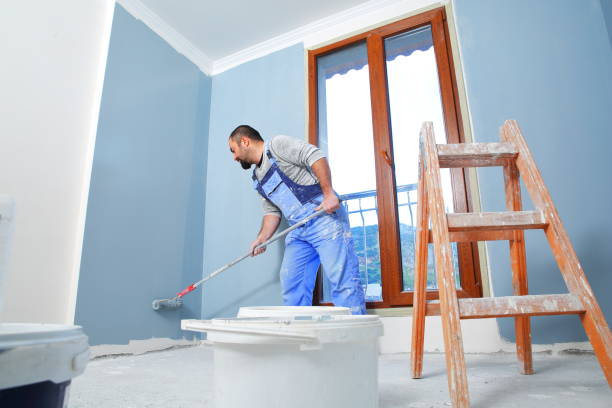 Environmental Consulting for Mold Prevention in Hainesville, IL
