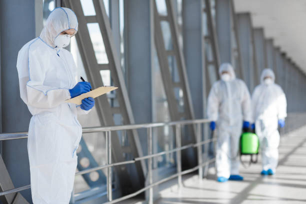 Best HVAC Mold Inspection and Cleaning  in Hainesvle, IL