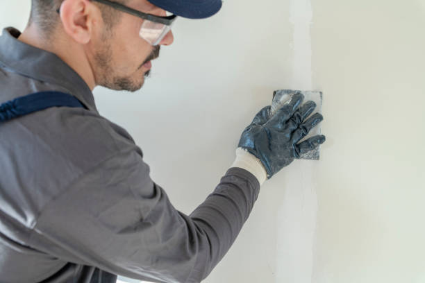 Best Residential Mold Inspection & Testing  in Hainesvle, IL