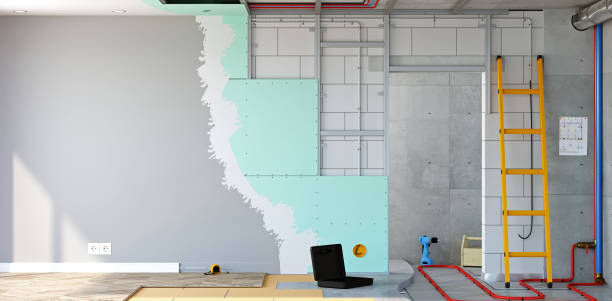 Best Black Mold Removal  in Hainesvle, IL