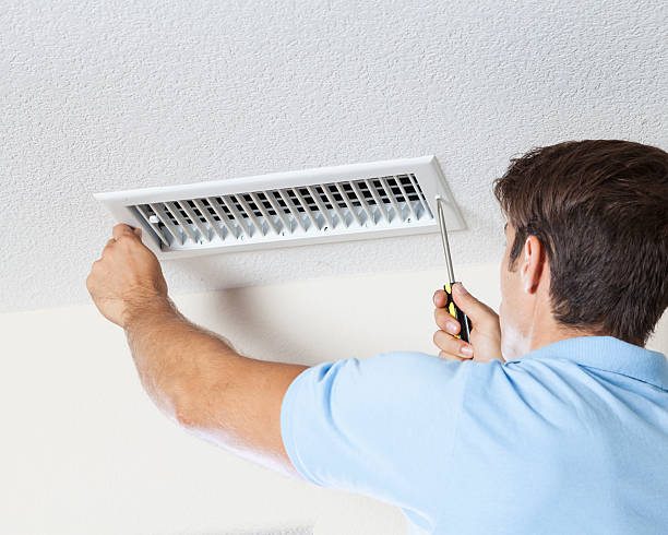 Best Biohazard Mold Removal  in Hainesvle, IL