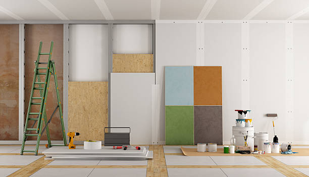 Best Post-Construction Mold Inspection  in Hainesvle, IL