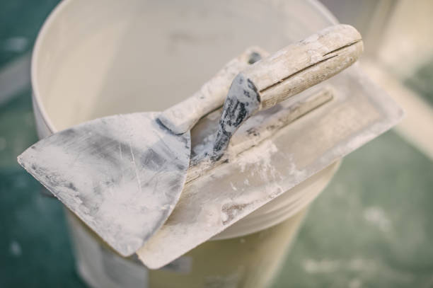 Best Crawl Space Mold Remediation  in Hainesvle, IL