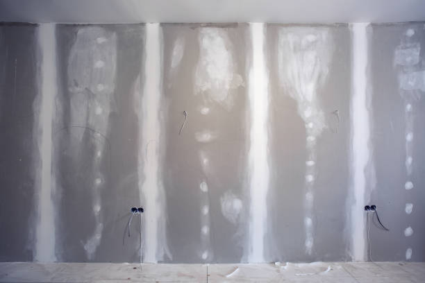 Professional Mold Removal in Hainesville, IL