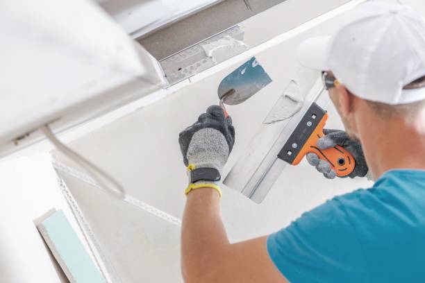 Best Mold Documentation for Insurance Claims  in Hainesvle, IL